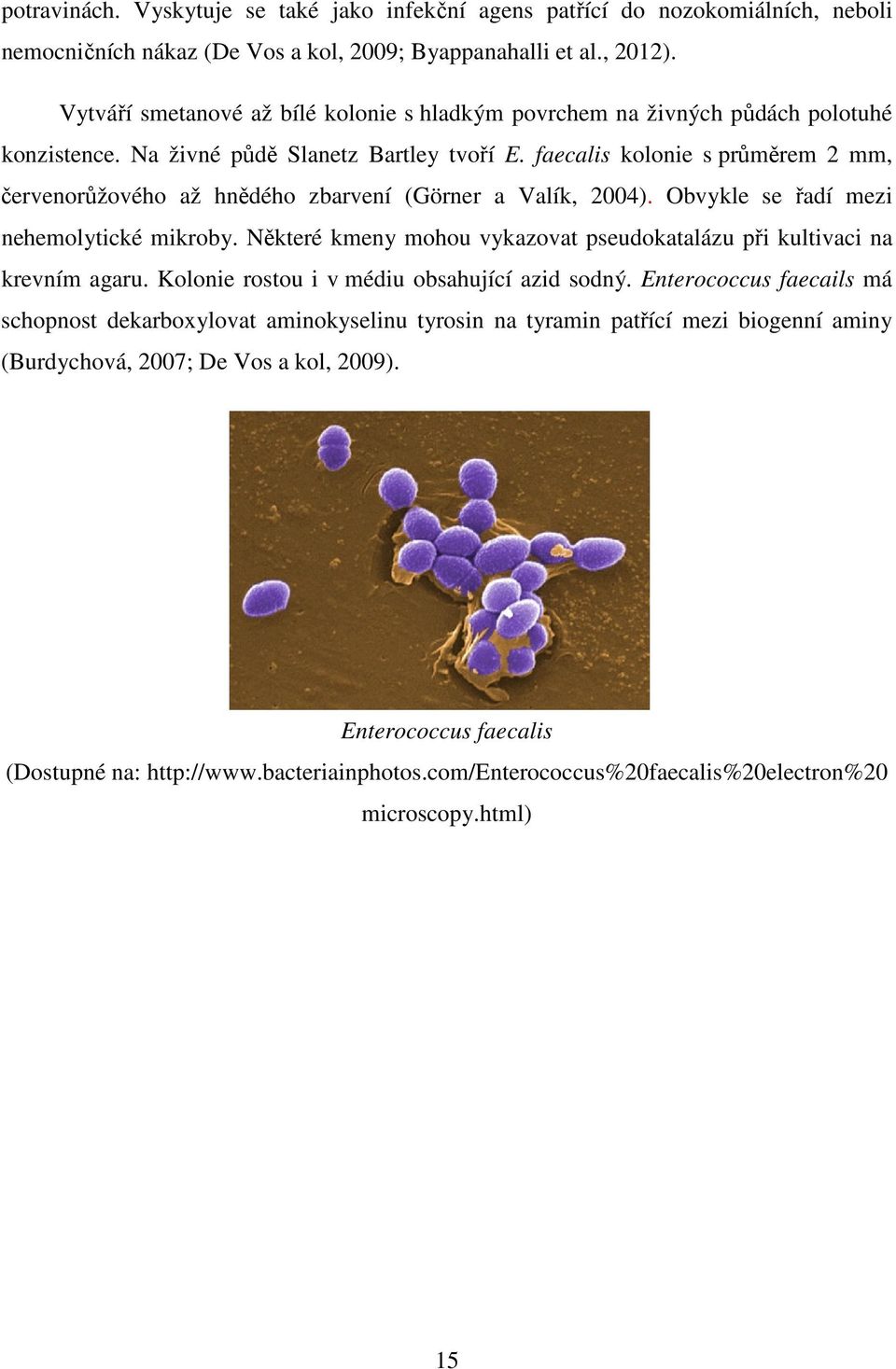 faecalis kolonie s průměrem 2 mm, červenorůžového až hnědého zbarvení (Görner a Valík, 2004). Obvykle se řadí mezi nehemolytické mikroby.