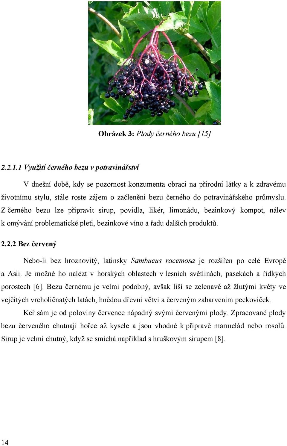 1 Využití černého bezu v potravinářství V dnešní době, kdy se pozornost konzumenta obrací na přírodní látky a k zdravému životnímu stylu, stále roste zájem o začlenění bezu černého do potravinářského