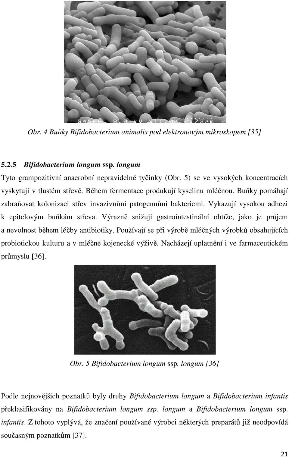 Vykazují vysokou adhezi k epitelovým buňkám střeva. Výrazně snižují gastrointestinální obtíže, jako je průjem a nevolnost během léčby antibiotiky.