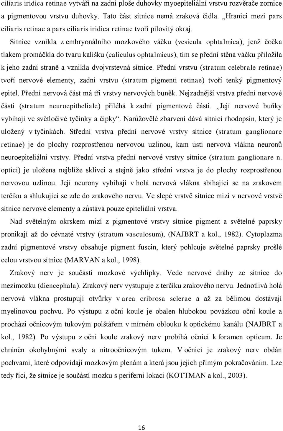 Sítnice vznikla z embryonálního mozkového váčku (vesicula ophtalmica), jenţ čočka tlakem promáčkla do tvaru kalíšku (caliculus ophtalmicus), tím se přední stěna váčku přiloţila k jeho zadní straně a