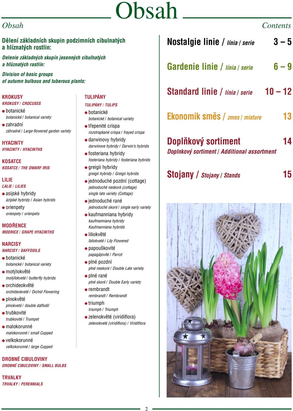 asijské hybridy ázijské hybridy / sian hybrids orienpety orienpety / orienpets MODŘNC MODRIC / GRP HCINHS NRCIS NRCIS / DFFODILS botanické botanické / botanical variety motýlokvěté motýľokveté /