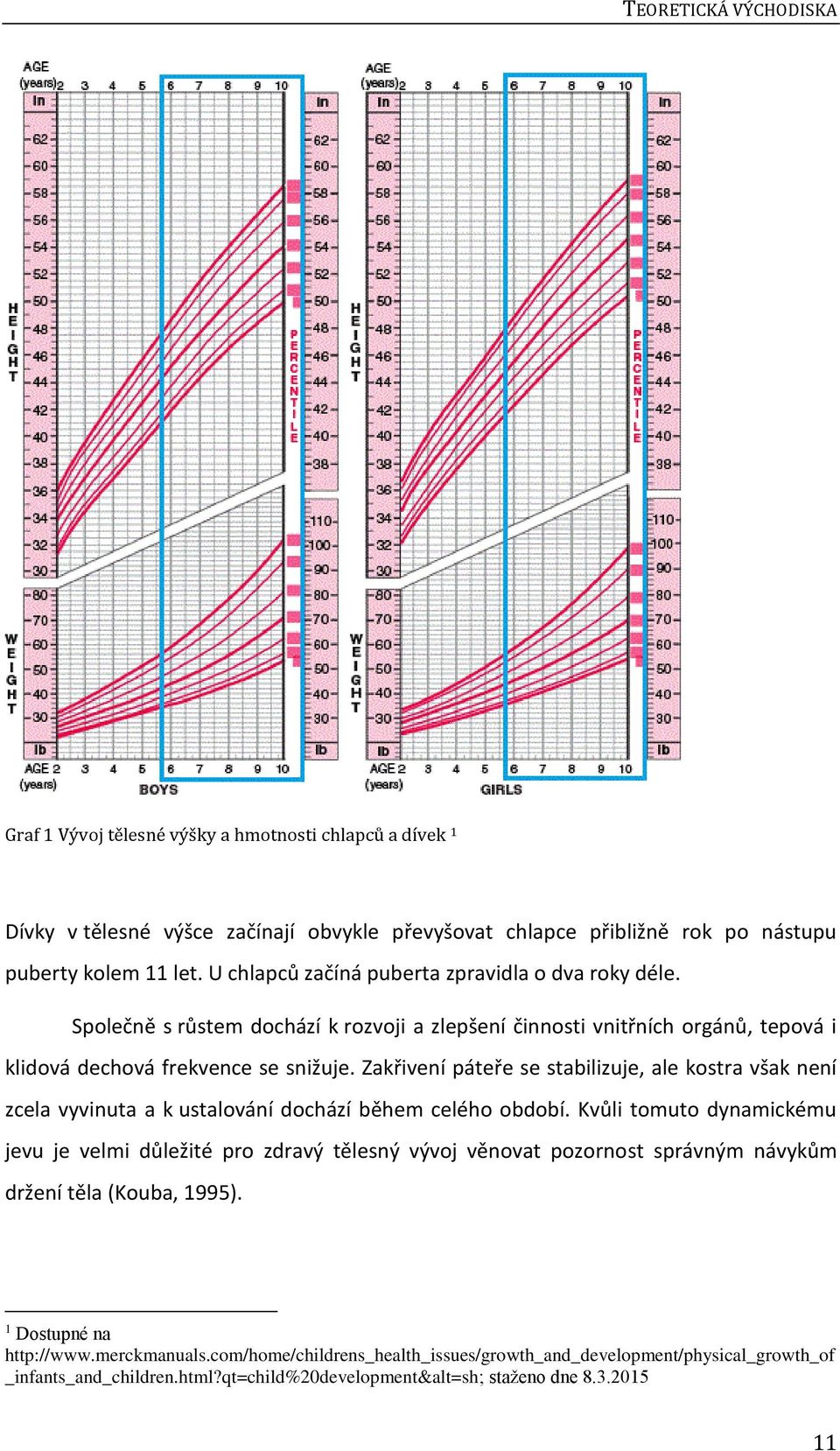 Zakřivení páteře se stabilizuje, ale kostra však není zcela vyvinuta a k ustalování dochází během celého období.