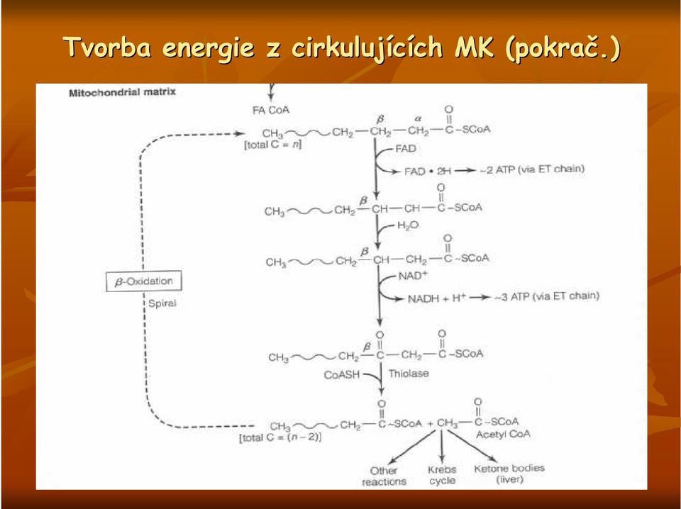 cirkulujících