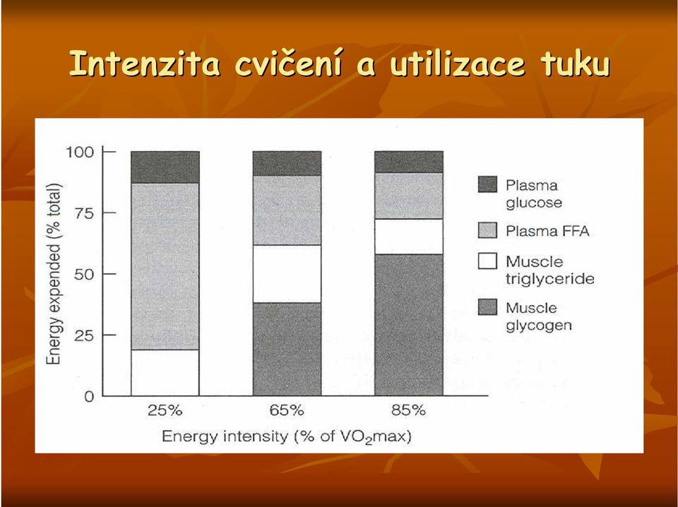 utilizace