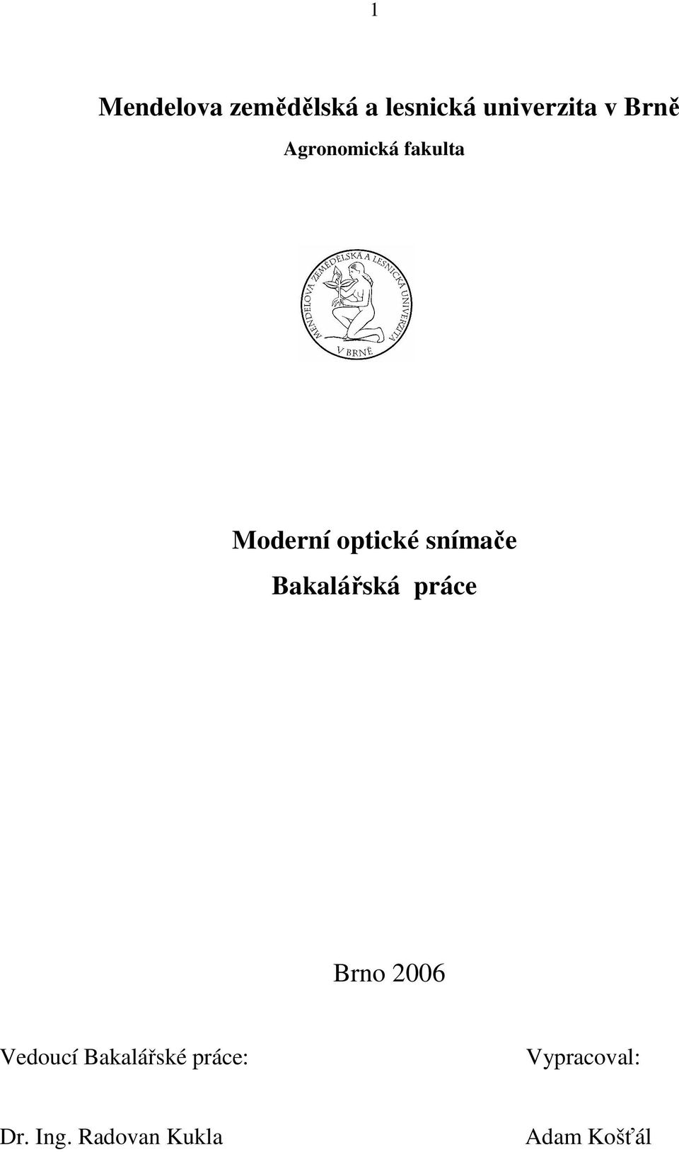 Bakalářská práce Brno 2006 Vedoucí Bakalářské