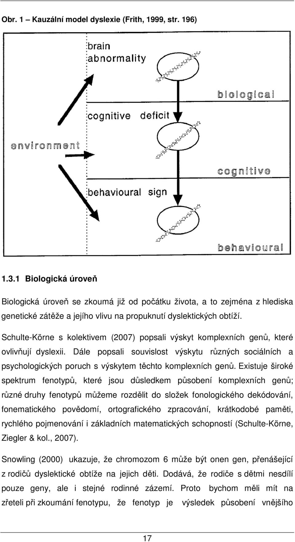Schulte-Körne s kolektivem (2007) popsali výskyt komplexních genů, které ovlivňují dyslexii.