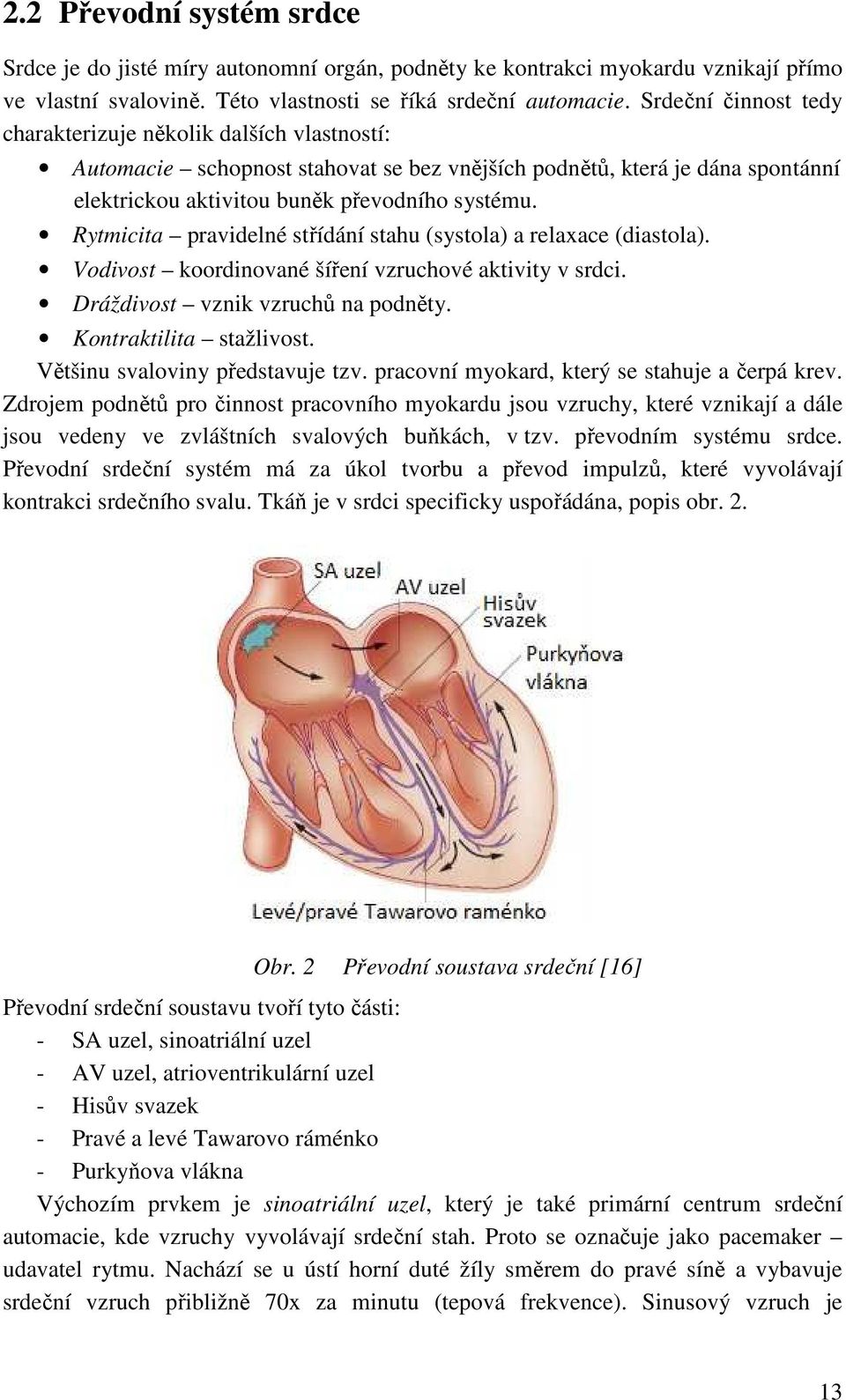 Rytmicita pravidelné střídání stahu (systola) a relaxace (diastola). Vodivost koordinované šíření vzruchové aktivity v srdci. Dráždivost vznik vzruchů na podněty. Kontraktilita stažlivost.