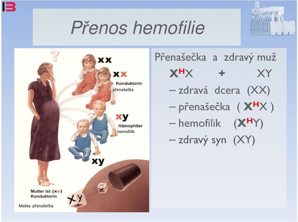 muž X H X + XY zdravá dcera (XX)