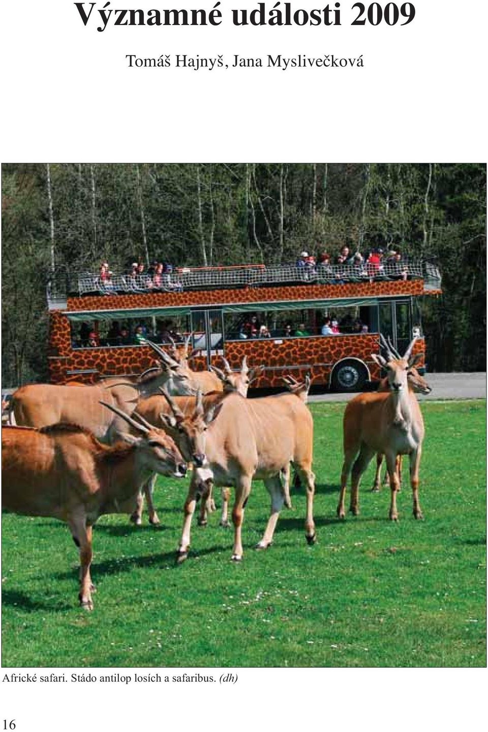Myslivečková Africké safari.