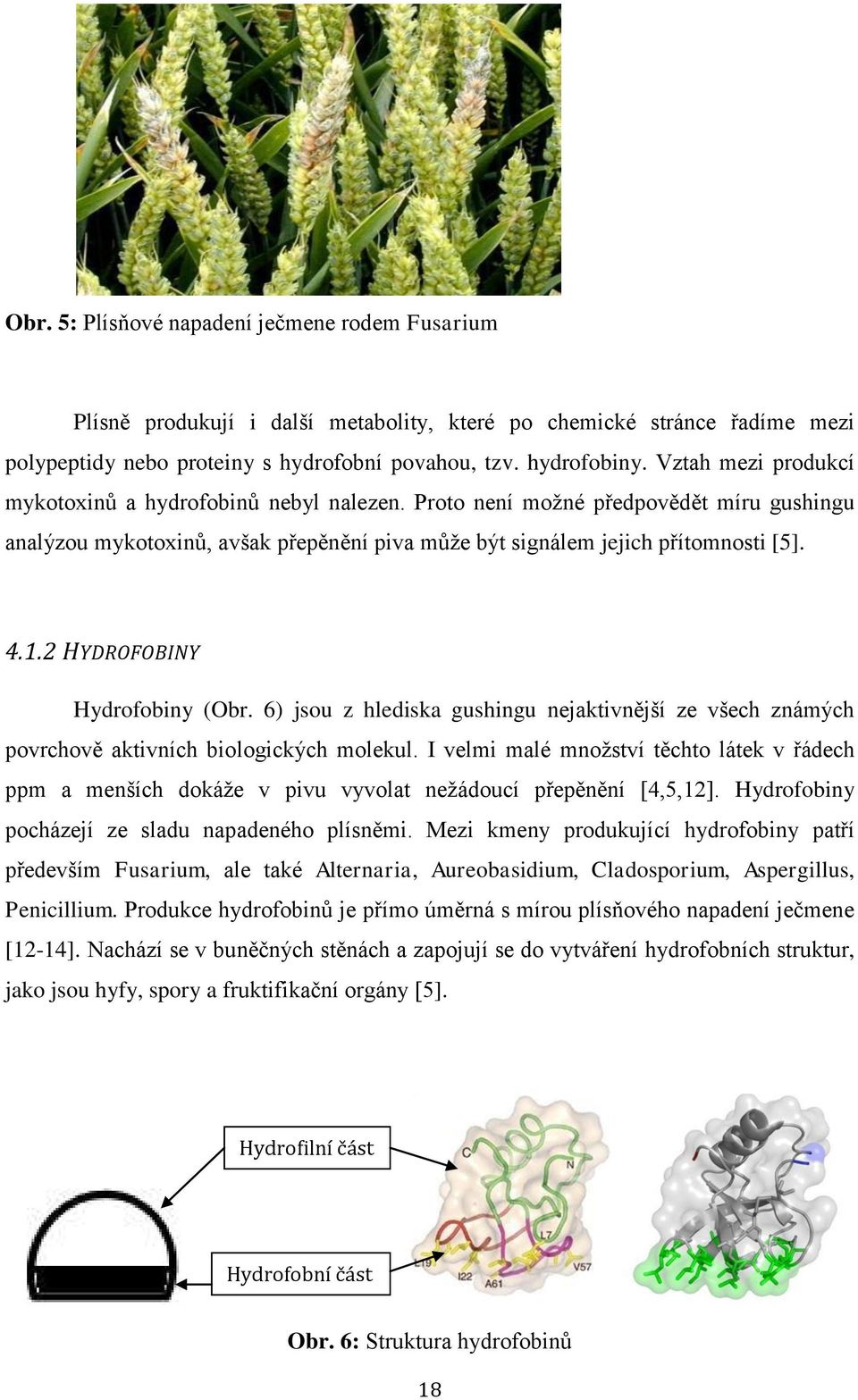 2 HYDROFOBINY Hydrofobiny (Obr. 6) jsou z hlediska gushingu nejaktivnější ze všech známých povrchově aktivních biologických molekul.