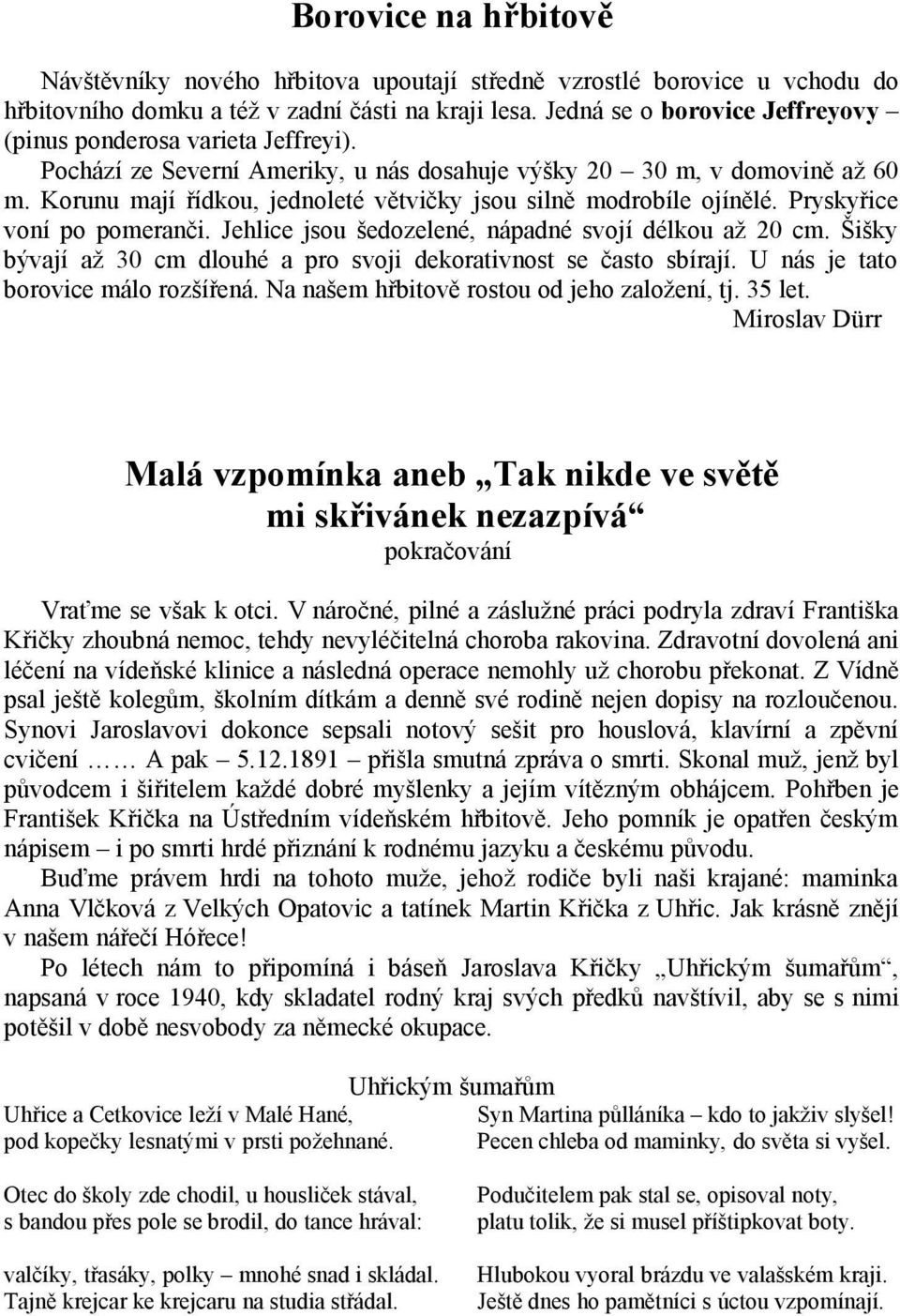 Korunu mají řídkou, jednoleté větvičky jsou silně modrobíle ojínělé. Pryskyřice voní po pomeranči. Jehlice jsou šedozelené, nápadné svojí délkou až 20 cm.