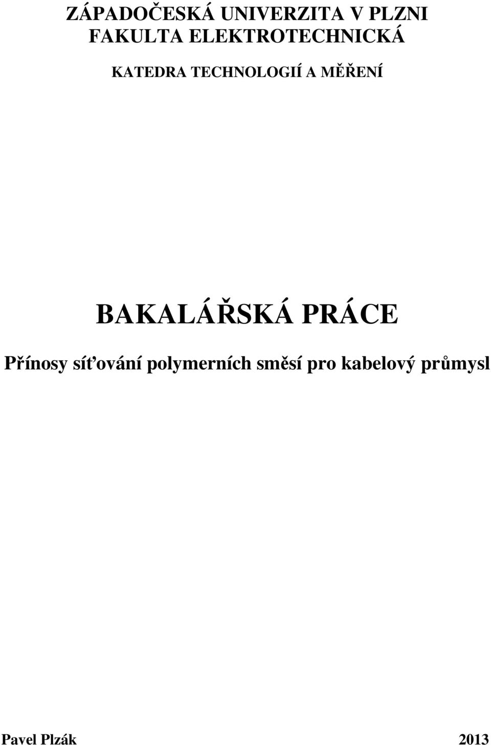 MĚŘENÍ BAKALÁŘSKÁ PRÁCE Přínosy síťování