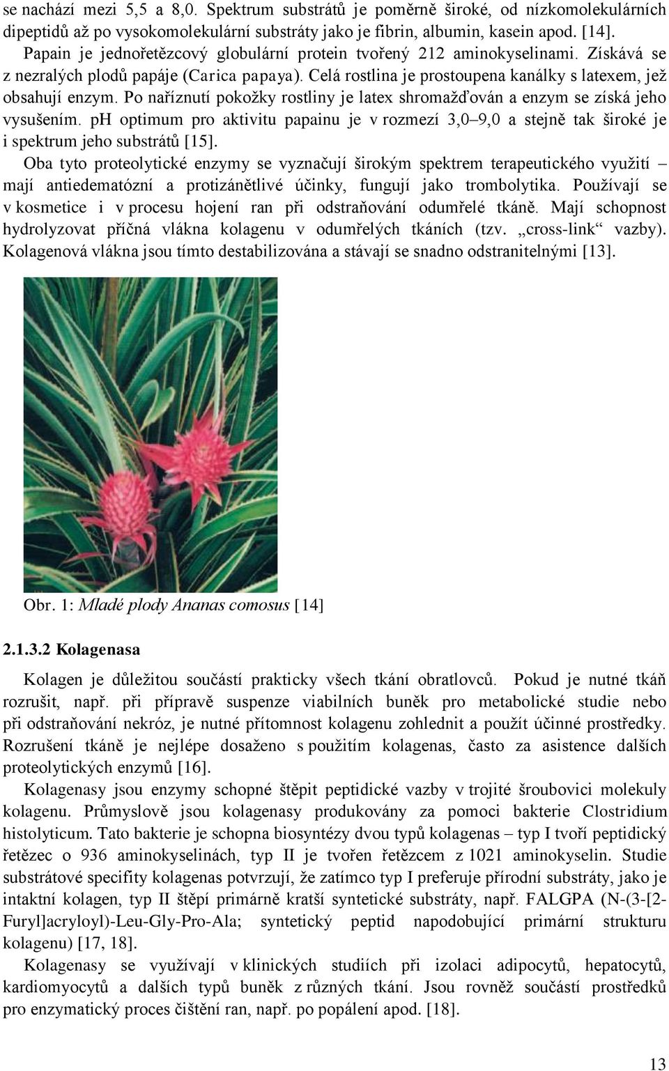 Po naříznutí pokožky rostliny je latex shromažďován a enzym se získá jeho vysušením. ph optimum pro aktivitu papainu je v rozmezí 3,0 9,0 a stejně tak široké je i spektrum jeho substrátů [15].