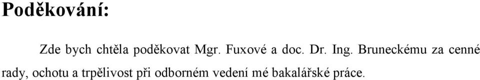 Bruneckému za cenné rady, ochotu a