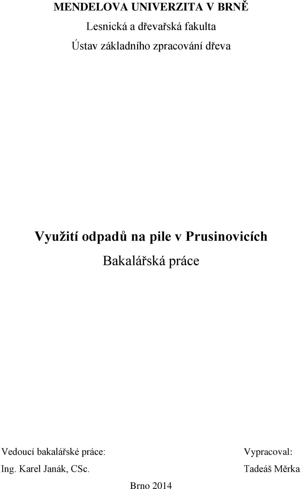 v Prusinovicích Bakalářská práce Vedoucí bakalářské