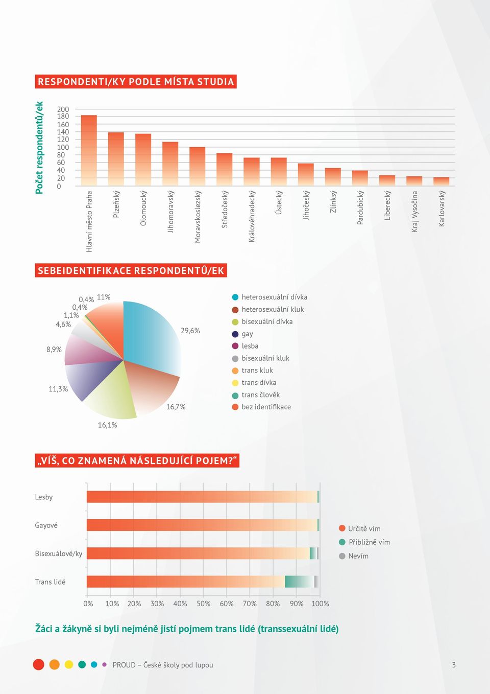 bisexuální dívka 29,6% gay lesba bisexuální kluk trans kluk trans dívka trans člověk 16,7% bez identifikace 16,1% VÍŠ, CO ZNAMENÁ NÁSLEDUJÍCÍ POJEM?