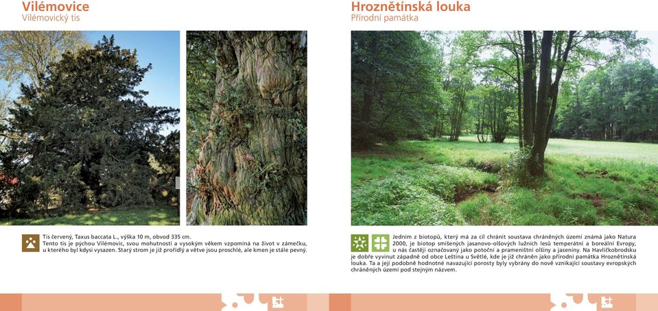 Jedním z biotopů, který má za cíl chránit soustava chráněných území známá jako Natura 2000, je biotop smíšených jasanovo-olšových lužních lesů temperátní a boreální Evropy, u nás častěji označovaný