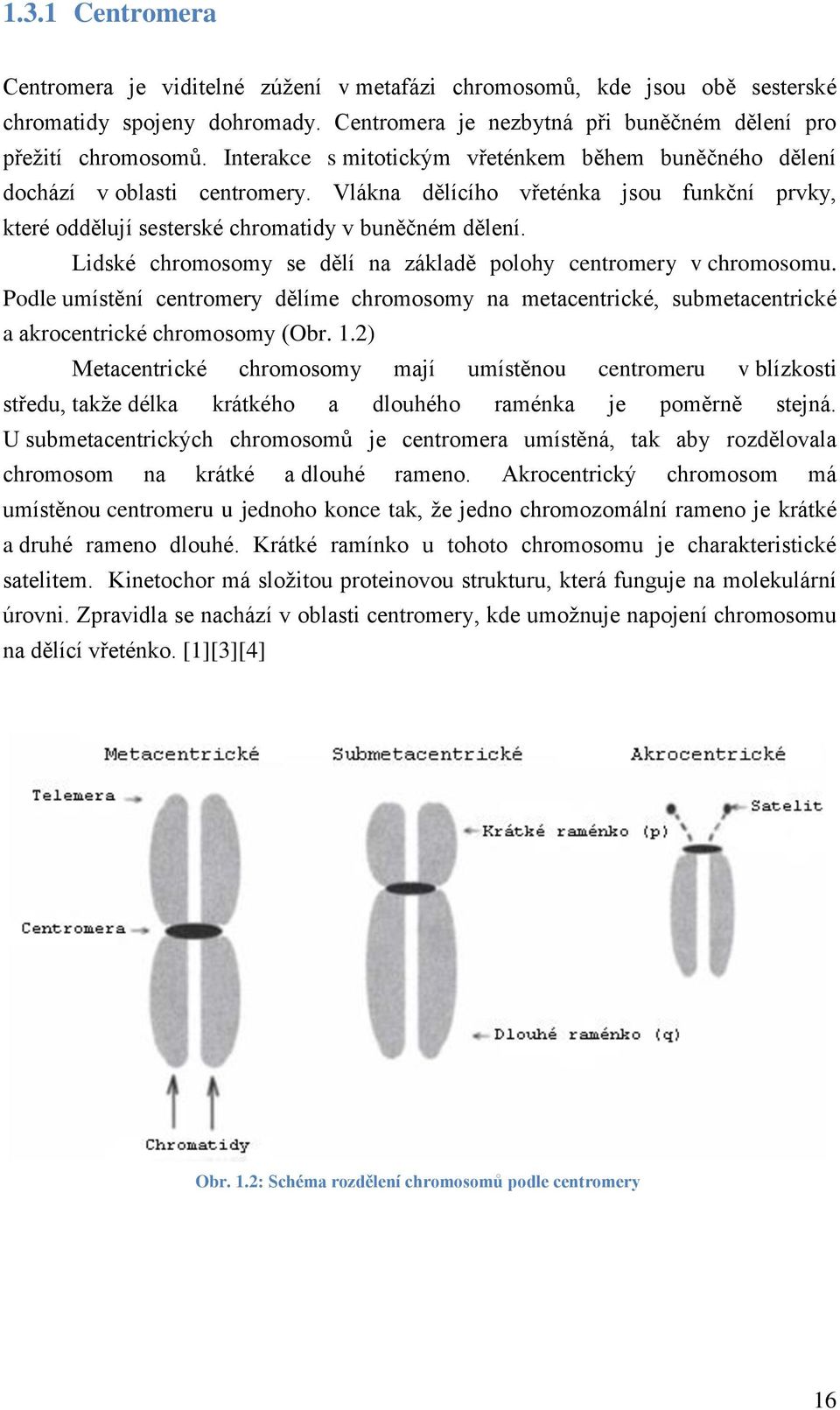 Lidské chromosomy se dělí na základě polohy centromery v chromosomu. Podle umístění centromery dělíme chromosomy na metacentrické, submetacentrické a akrocentrické chromosomy (Obr.