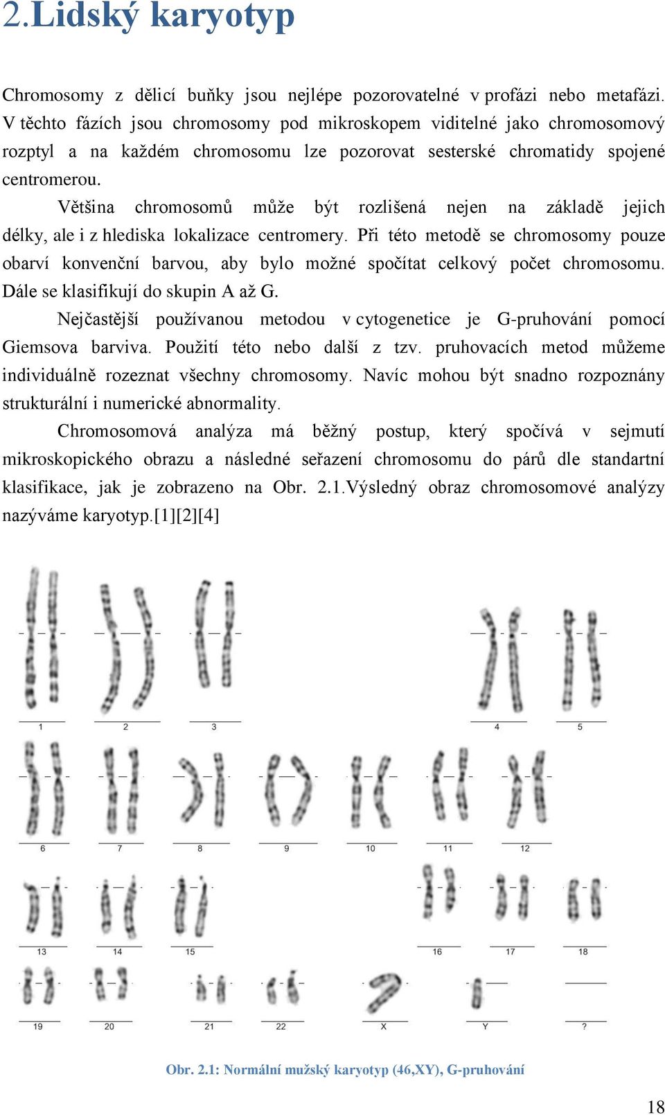 Většina chromosomů můţe být rozlišená nejen na základě jejich délky, ale i z hlediska lokalizace centromery.