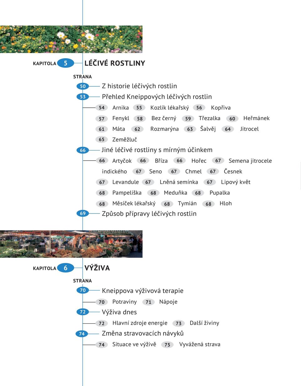 Chmel 67 Česnek 67 Levandule 67 Lněná semínka 67 Lipový květ 68 Pampeliška 68 Meduňka 68 Pupalka 68 Měsíček lékařský 68 Tymián 68 Hloh Způsob přípravy léčivých rostlin 6