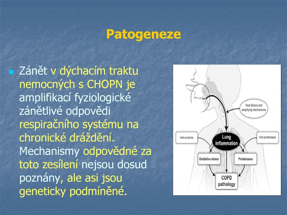 systému na chronické dráždění.