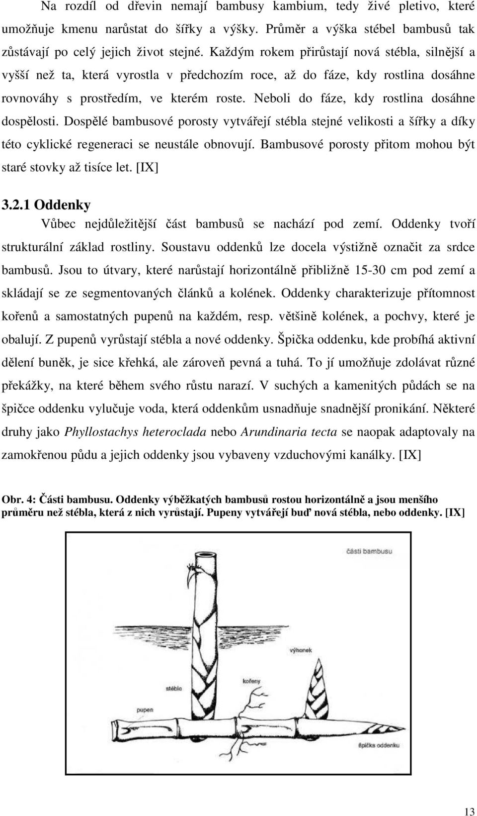 Neboli do fáze, kdy rostlina dosáhne dospělosti. Dospělé bambusové porosty vytvářejí stébla stejné velikosti a šířky a díky této cyklické regeneraci se neustále obnovují.