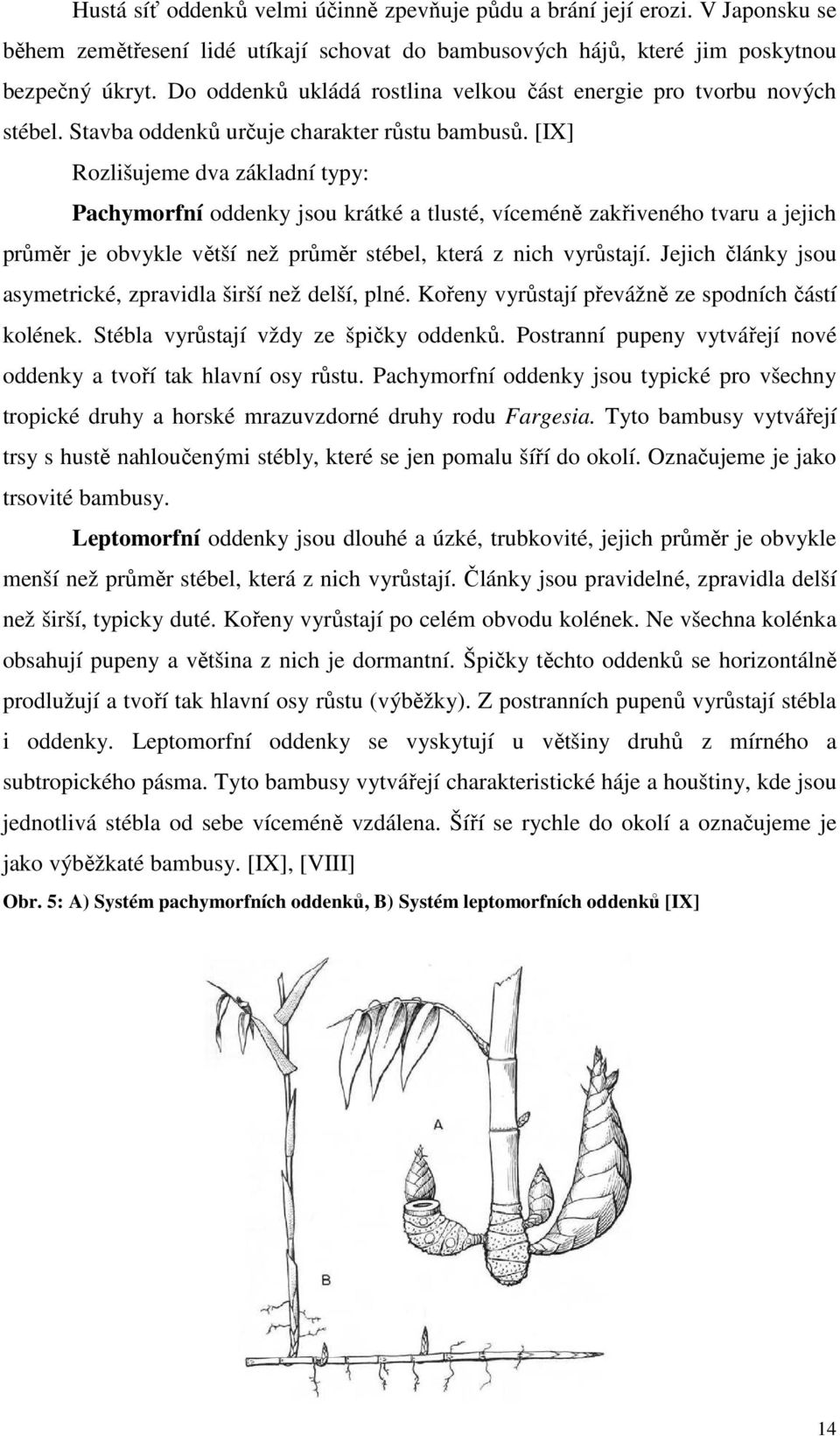 [IX] Rozlišujeme dva základní typy: Pachymorfní oddenky jsou krátké a tlusté, víceméně zakřiveného tvaru a jejich průměr je obvykle větší než průměr stébel, která z nich vyrůstají.
