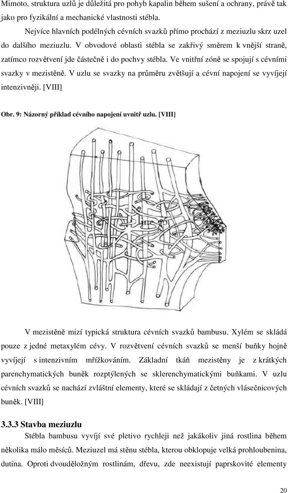 V obvodové oblasti stébla se zakřivý směrem k vnější straně, zatímco rozvětvení jde částečně i do pochvy stébla. Ve vnitřní zóně se spojují s cévními svazky v mezistěně.