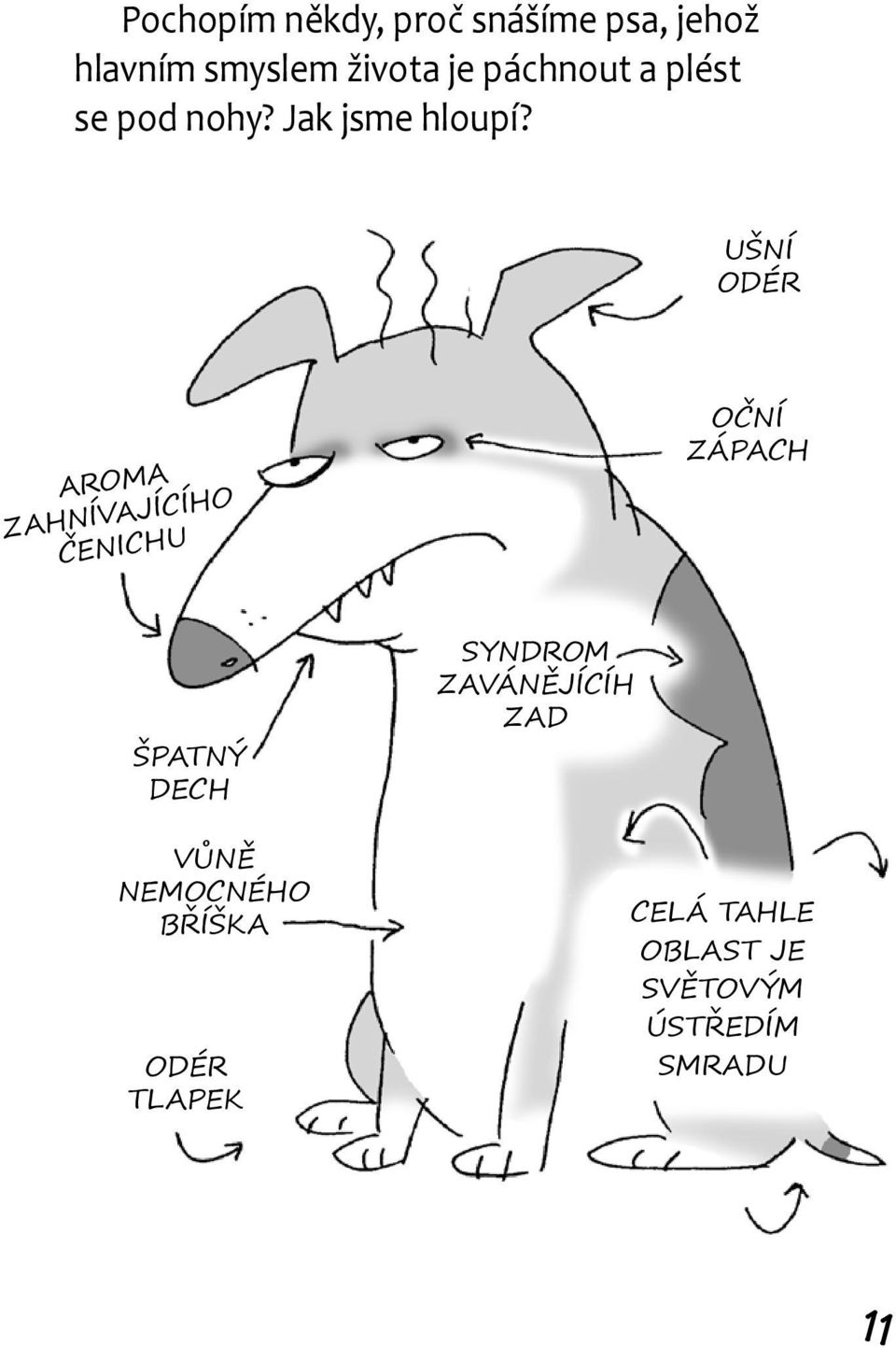 UŠNÍ ODÉR AROMA ZAHNÍVAJÍCÍHO ČENICHU OČNÍ ZÁPACH ŠPATNÝ DECH VŮNĚ