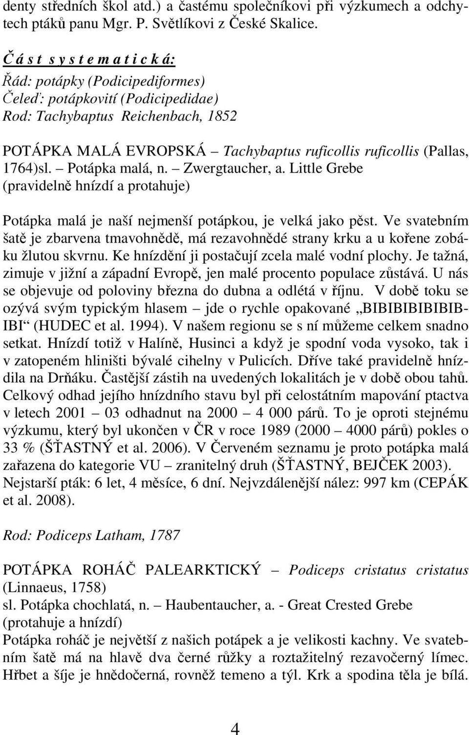 1764)sl. Potápka malá, n. Zwergtaucher, a. Little Grebe (pravidelně hnízdí a protahuje) Potápka malá je naší nejmenší potápkou, je velká jako pěst.