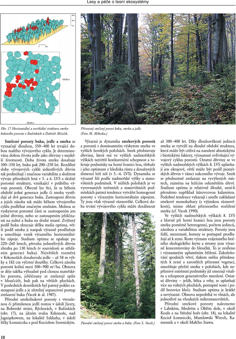 Doba života smrku dosahuje 300 350 let, buku pak 200 250 let. Rozdílné doby vývojových cyklů jednotlivých dřevin tak podmiňují i značnou variabilitu a složitost vývoje přírodních lesů v 5. a 6.