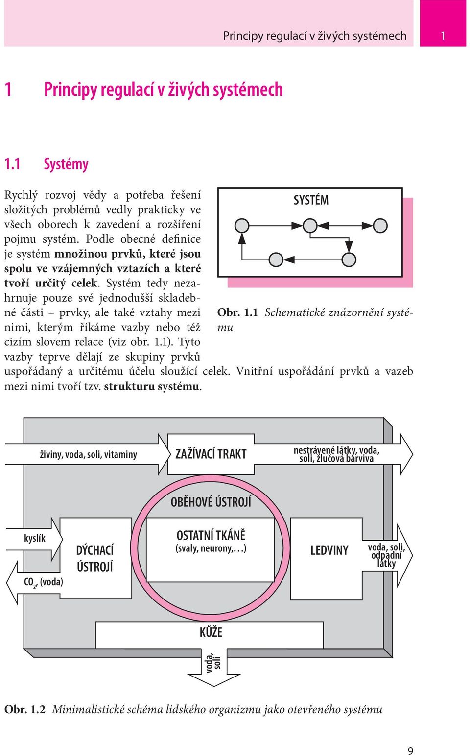 Podle obecné definice je systém množinou prvků, které jsou spolu ve vzájemných vztazích a které tvoří určitý celek.