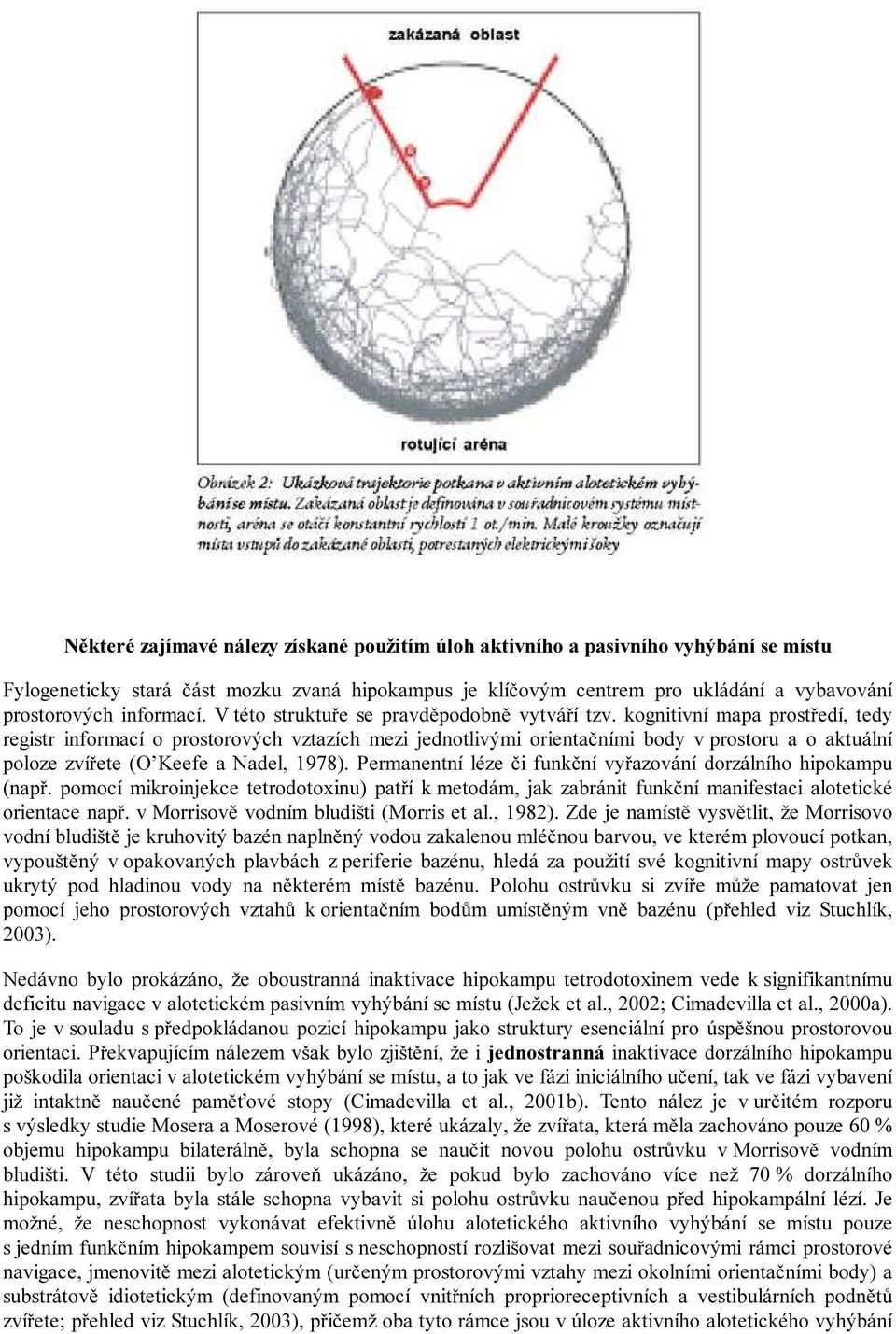 kognitivní mapa prostředí, tedy registr informací o prostorových vztazích mezi jednotlivými orientačními body v prostoru a o aktuální poloze zvířete (O Keefe a Nadel, 1978).