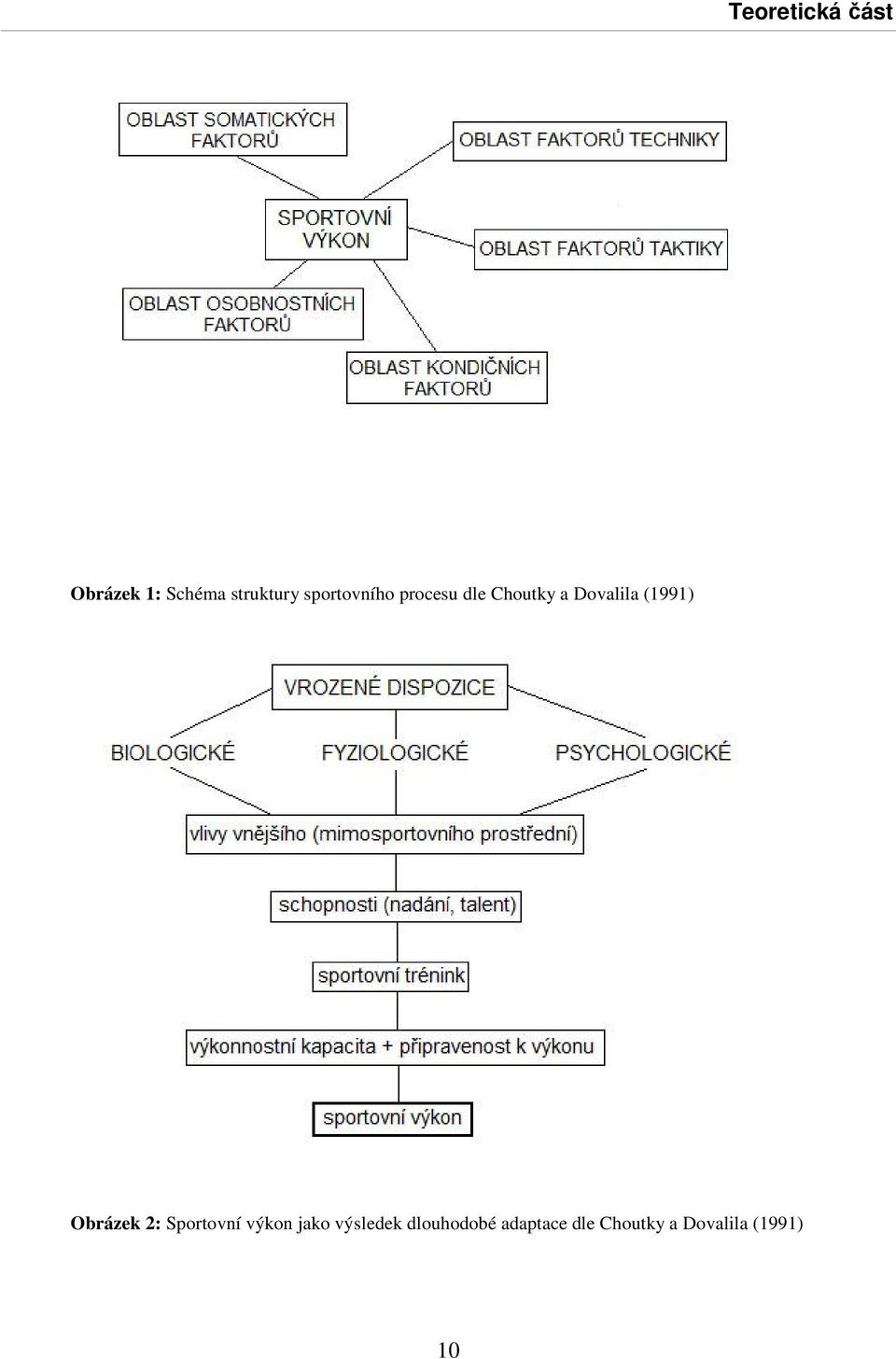 (1991) Obrázek 2: Sportovní výkon jako