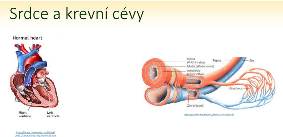 cz/obehova-soustava/