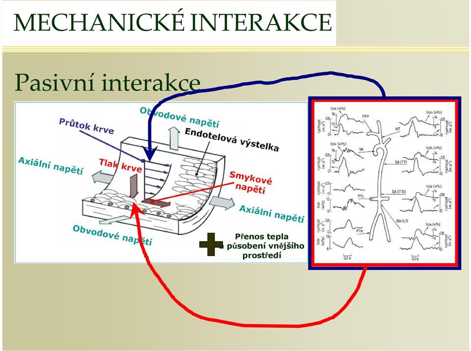 inteakce Přenos