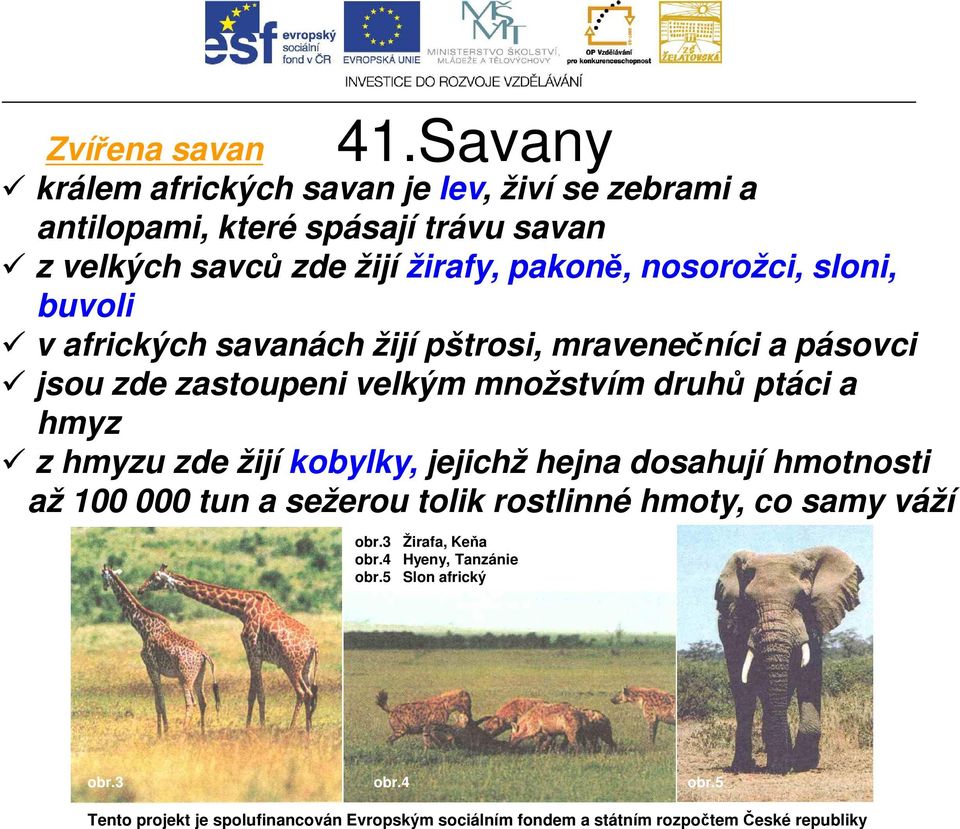 zde zastoupeni velkým množstvím druhů ptáci a hmyz z hmyzu zde žijí kobylky, jejichž hejna dosahují hmotnosti až 100 000