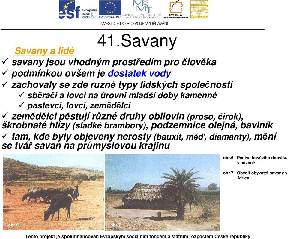 (proso, čirok), škrobnaté hlízy (sladké brambory), podzemnice olejná, bavlník tam, kde byly objeveny nerosty (bauxit, měď, diamanty),