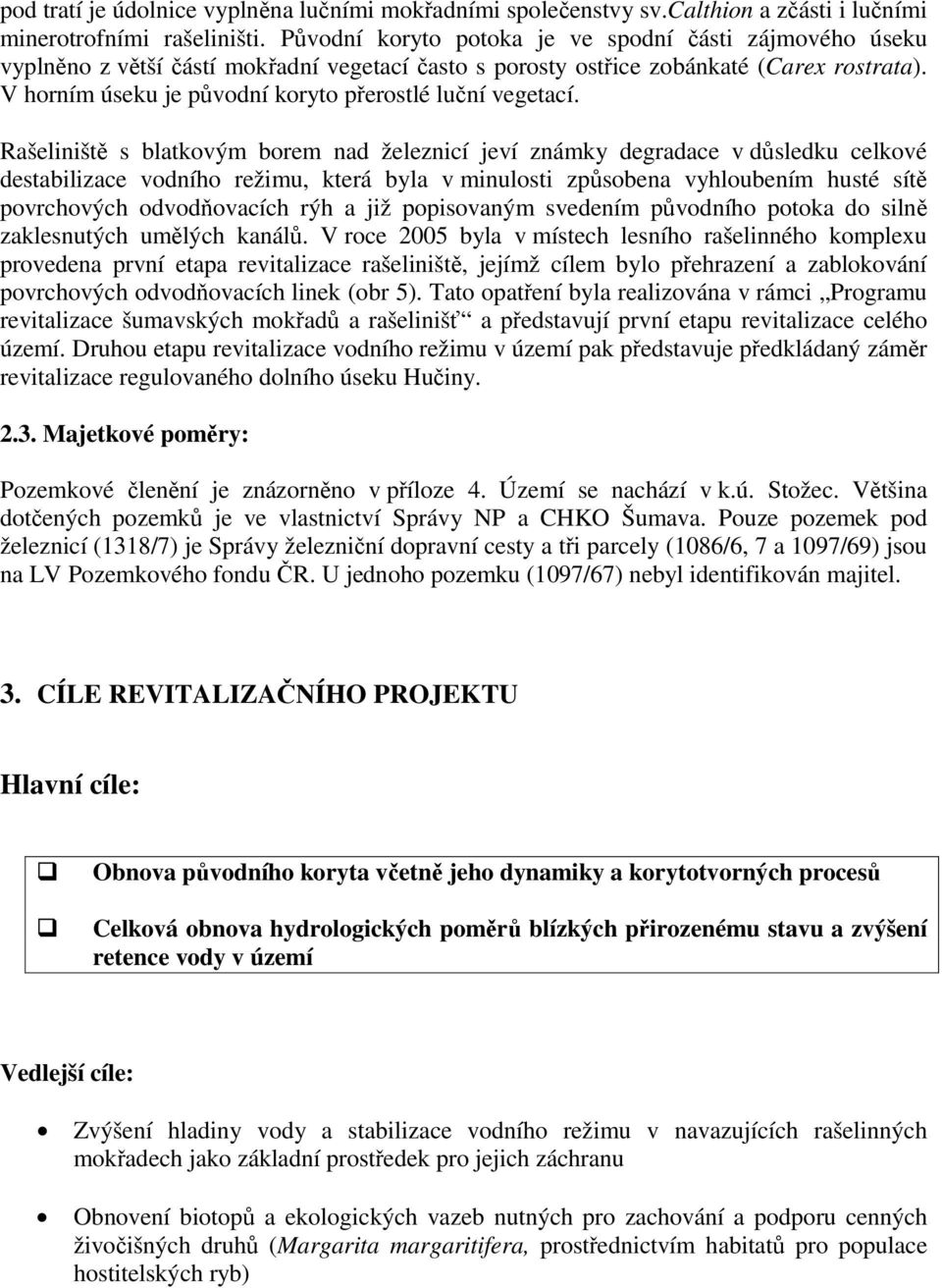 V horním úseku je původní koryto přerostlé luční vegetací.