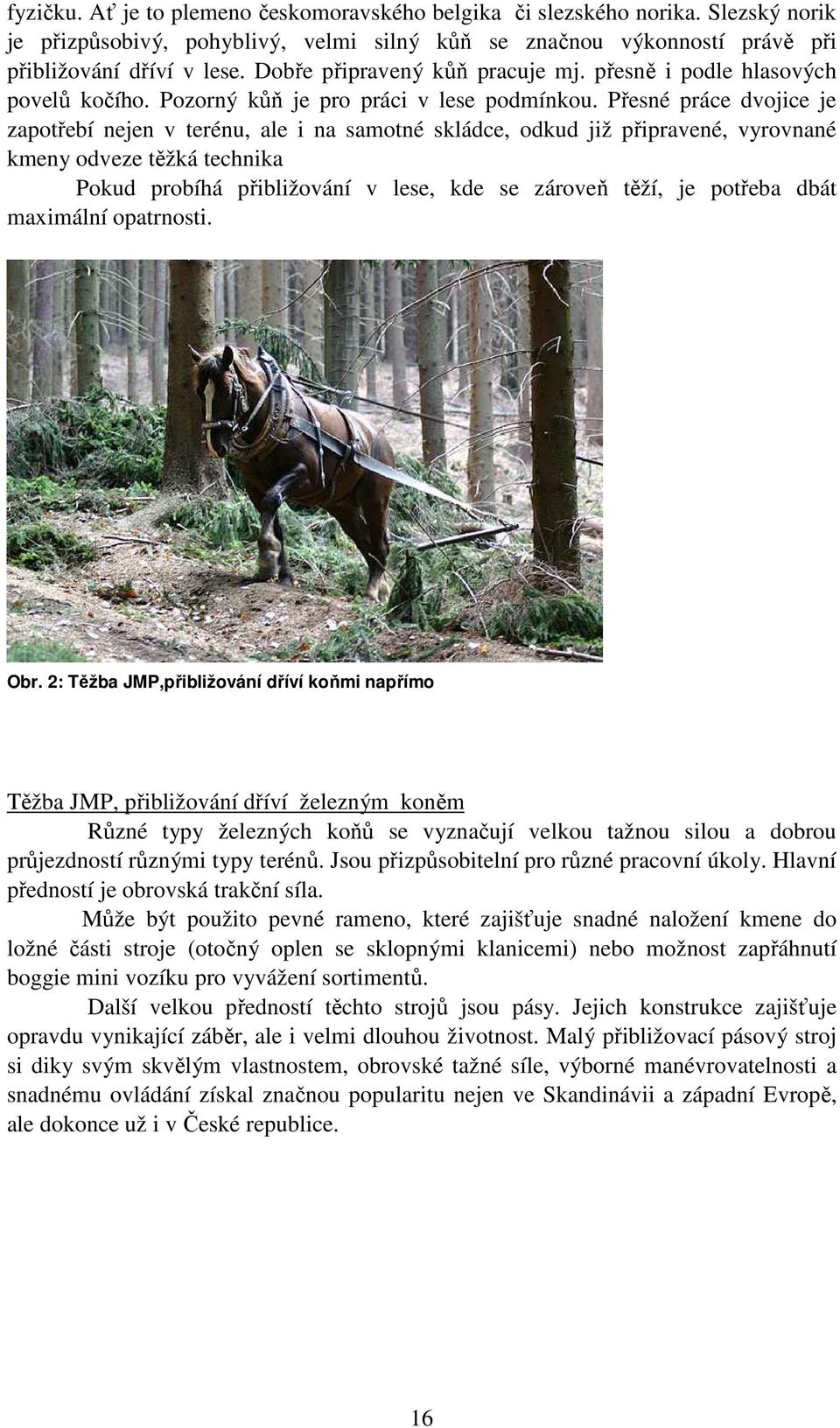 Přesné práce dvojice je zapotřebí nejen v terénu, ale i na samotné skládce, odkud již připravené, vyrovnané kmeny odveze těžká technika Pokud probíhá přibližování v lese, kde se zároveň těží, je