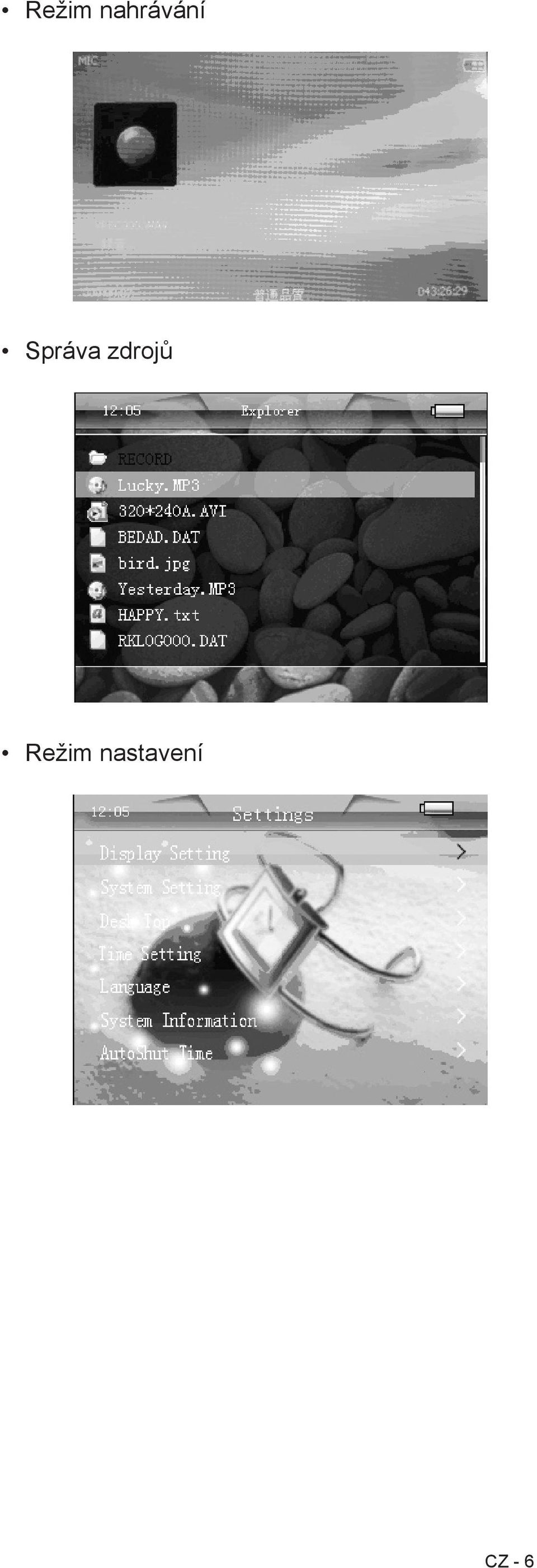 Správa