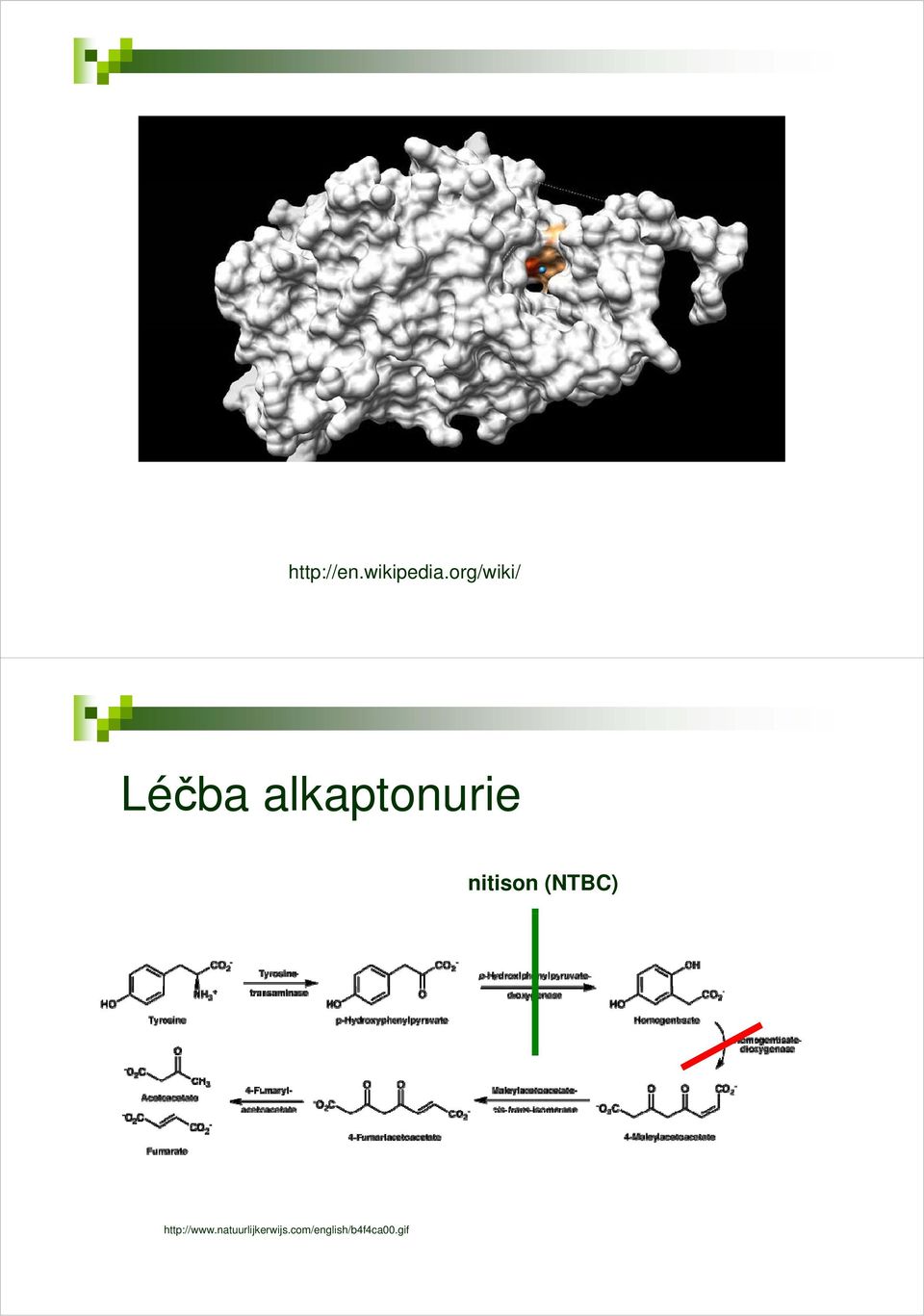 nitison (NTBC) http://www.