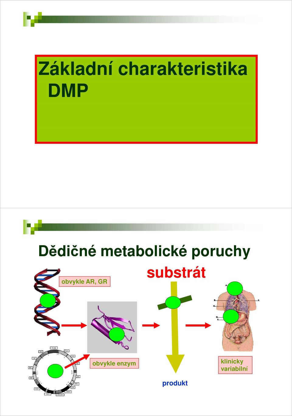 obvykle AR, GR substrát