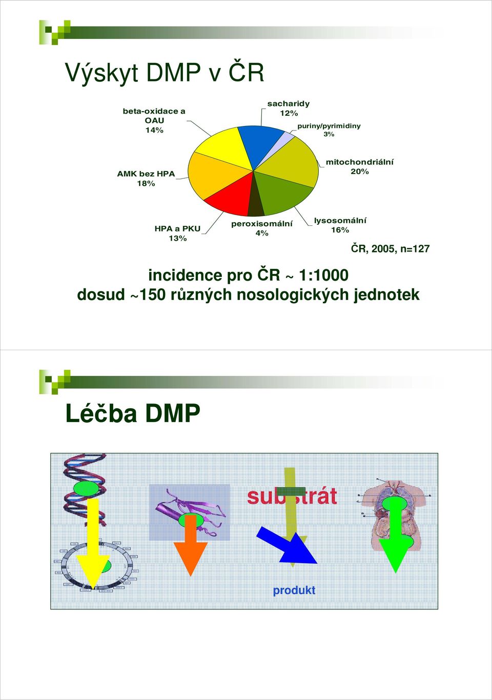 13% peroxisomální 4% lysosomální 16% ČR,, 2005, n=127 incidence pro