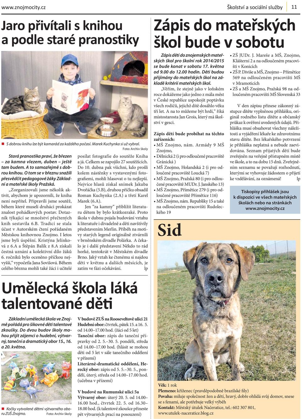 Těsný brazilská kočička