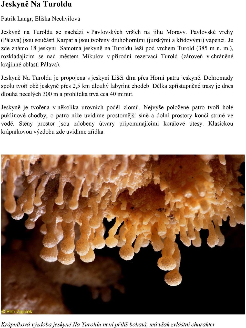 n. m.), rozkládajícím se nad městem Mikulov v přírodní rezervaci Turold (zároveň v chráněné krajinné oblasti Pálava). Jeskyně Na Turoldu je propojena s jeskyní Liščí díra přes Horní patra jeskyně.