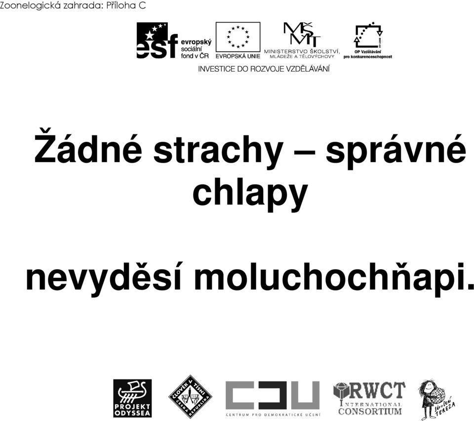 Žádné strachy