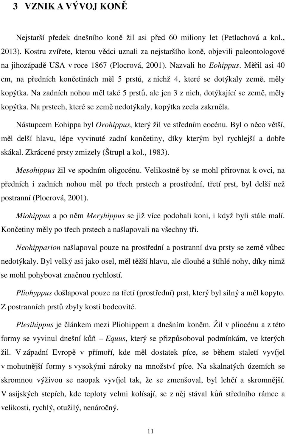 Měřil asi 40 cm, na předních končetinách měl 5 prstů, z nichž 4, které se dotýkaly země, měly kopýtka. Na zadních nohou měl také 5 prstů, ale jen 3 z nich, dotýkající se země, měly kopýtka.