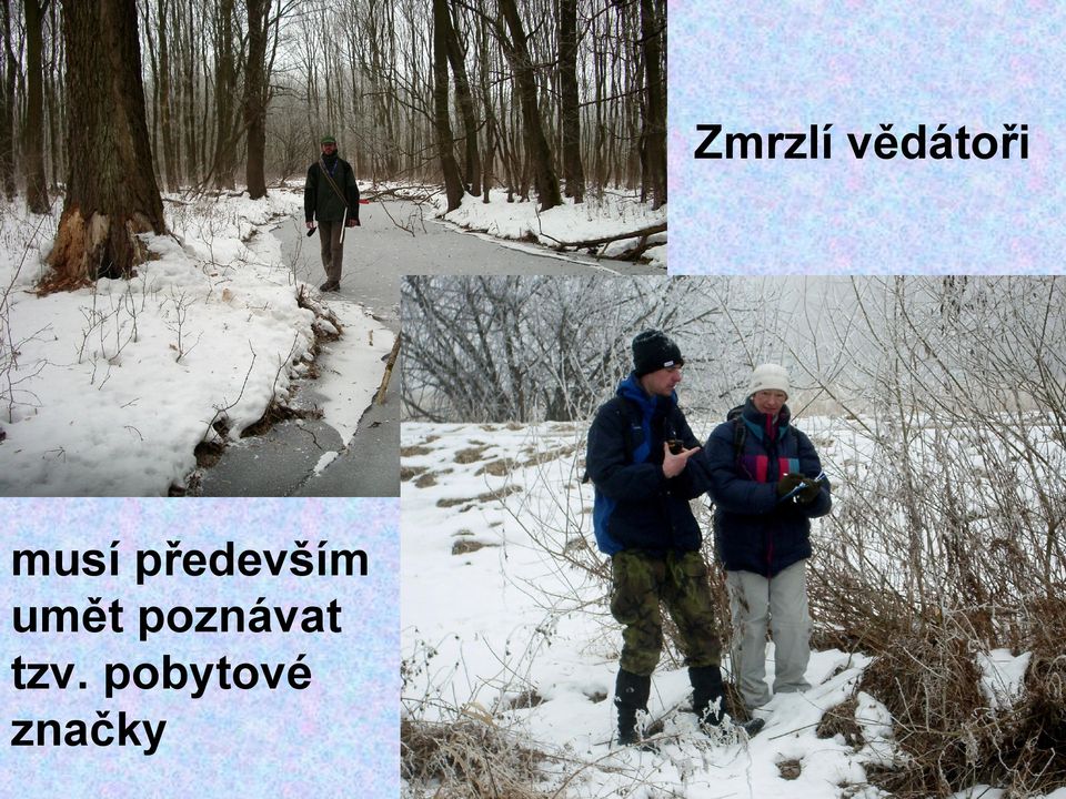 umět poznávat