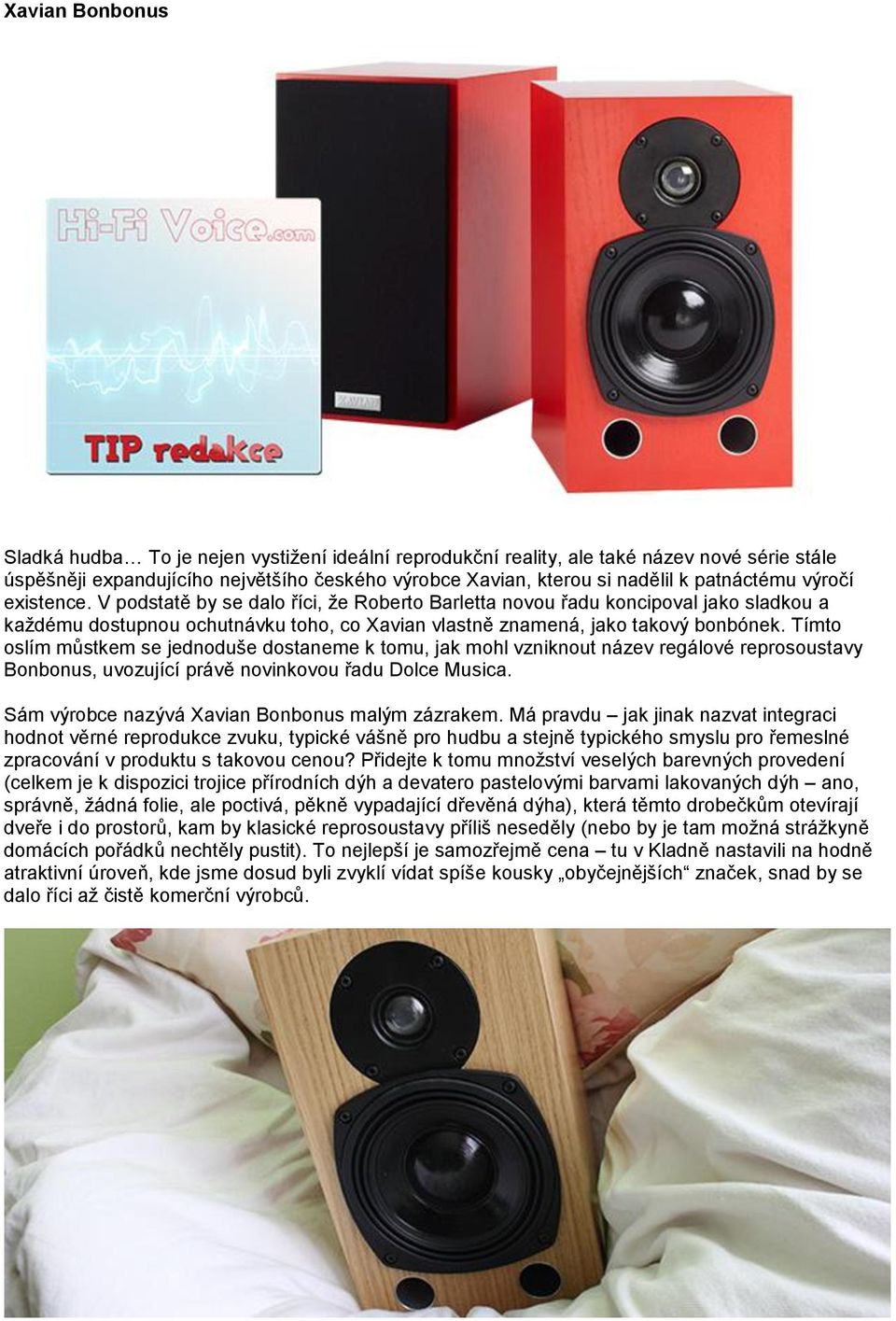 Tímto oslím můstkem se jednoduše dostaneme k tomu, jak mohl vzniknout název regálové reprosoustavy Bonbonus, uvozující právě novinkovou řadu Dolce Musica.